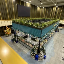 image-1-1